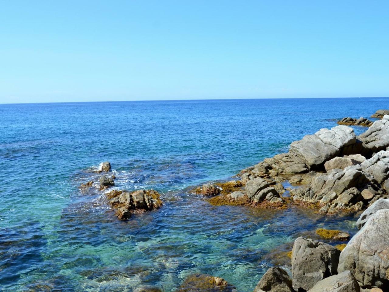 Studios Face A La Mer - Cala Llevado Tossa de Mar Zewnętrze zdjęcie