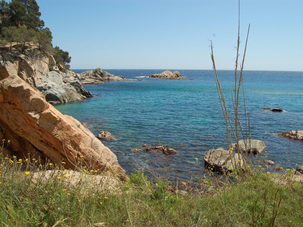 Studios Face A La Mer - Cala Llevado Tossa de Mar Zewnętrze zdjęcie